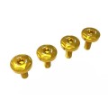DBK Special Parts (Ducabike) Front Fender Screw (Bolt) Kit for the Ducati Panigale V4 (2025+) DBK Special Parts (Ducabike) Front Fender Screw (Bolt) Kit for the Ducati Panigale V4 (2025+)